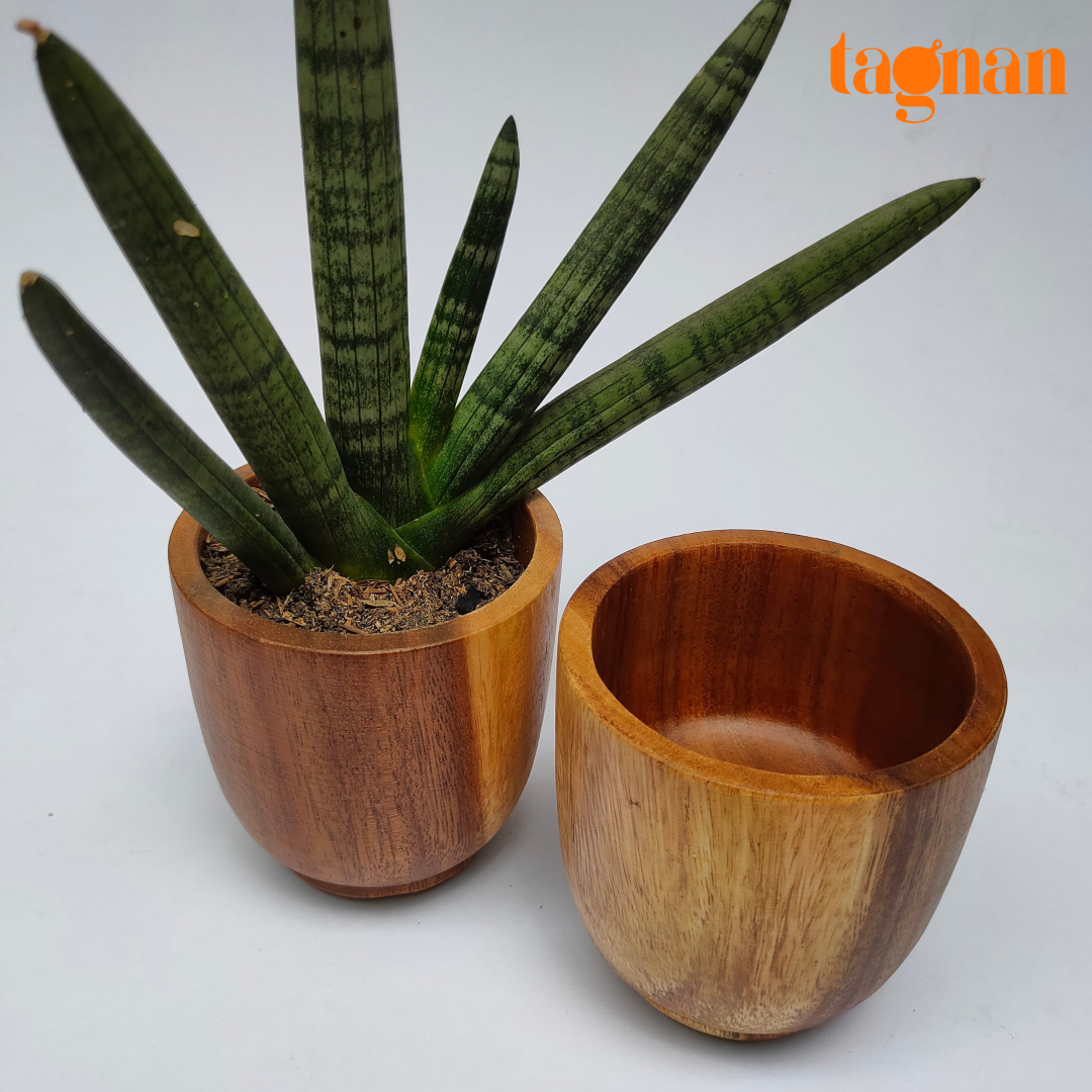 Wooden Pots made from acacia