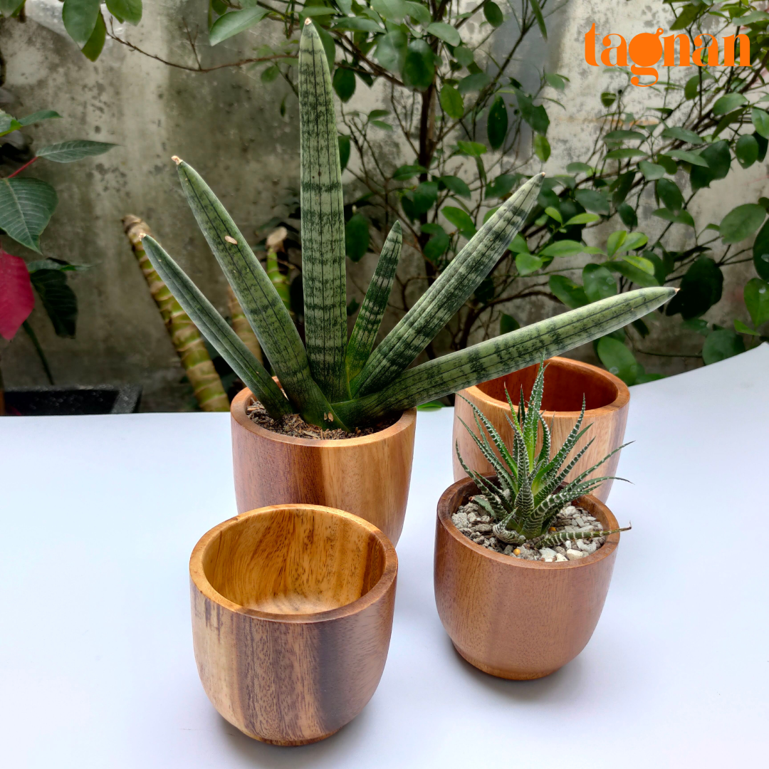 Wooden Pots made from acacia
