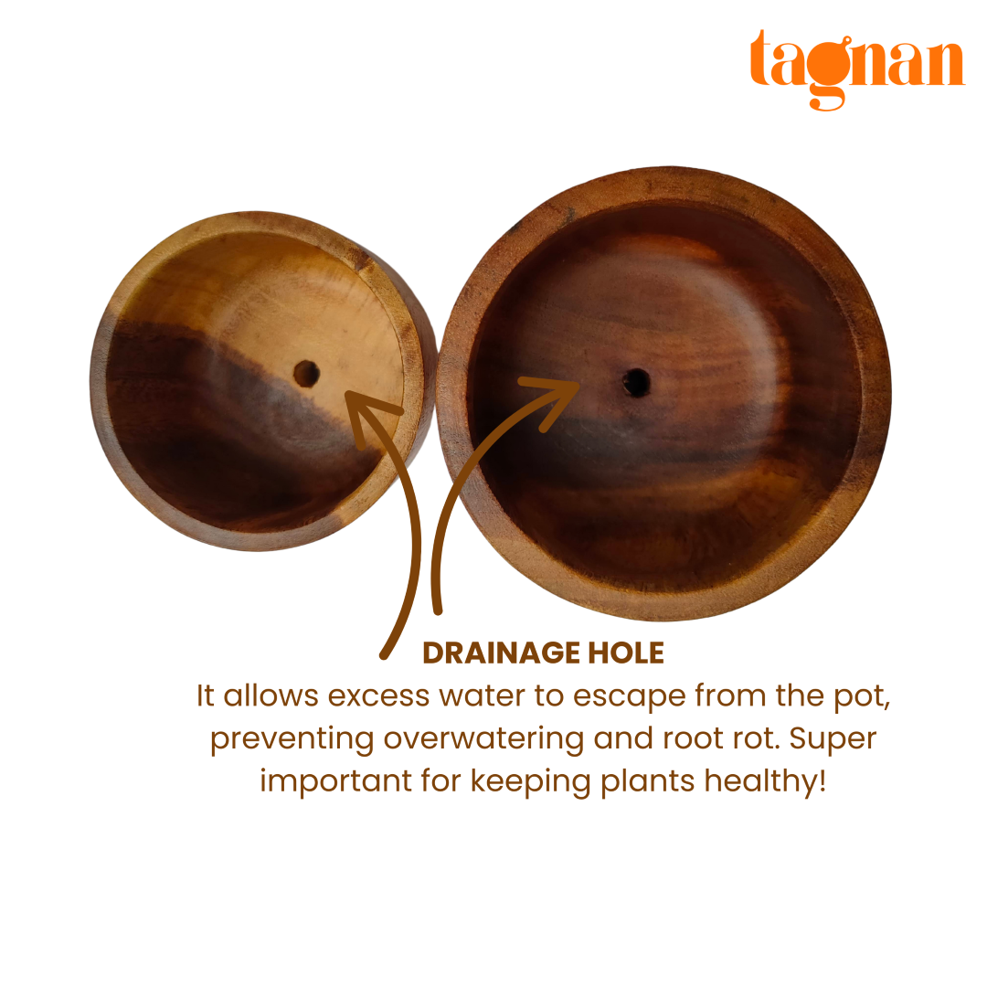 Wooden Pots made from acacia